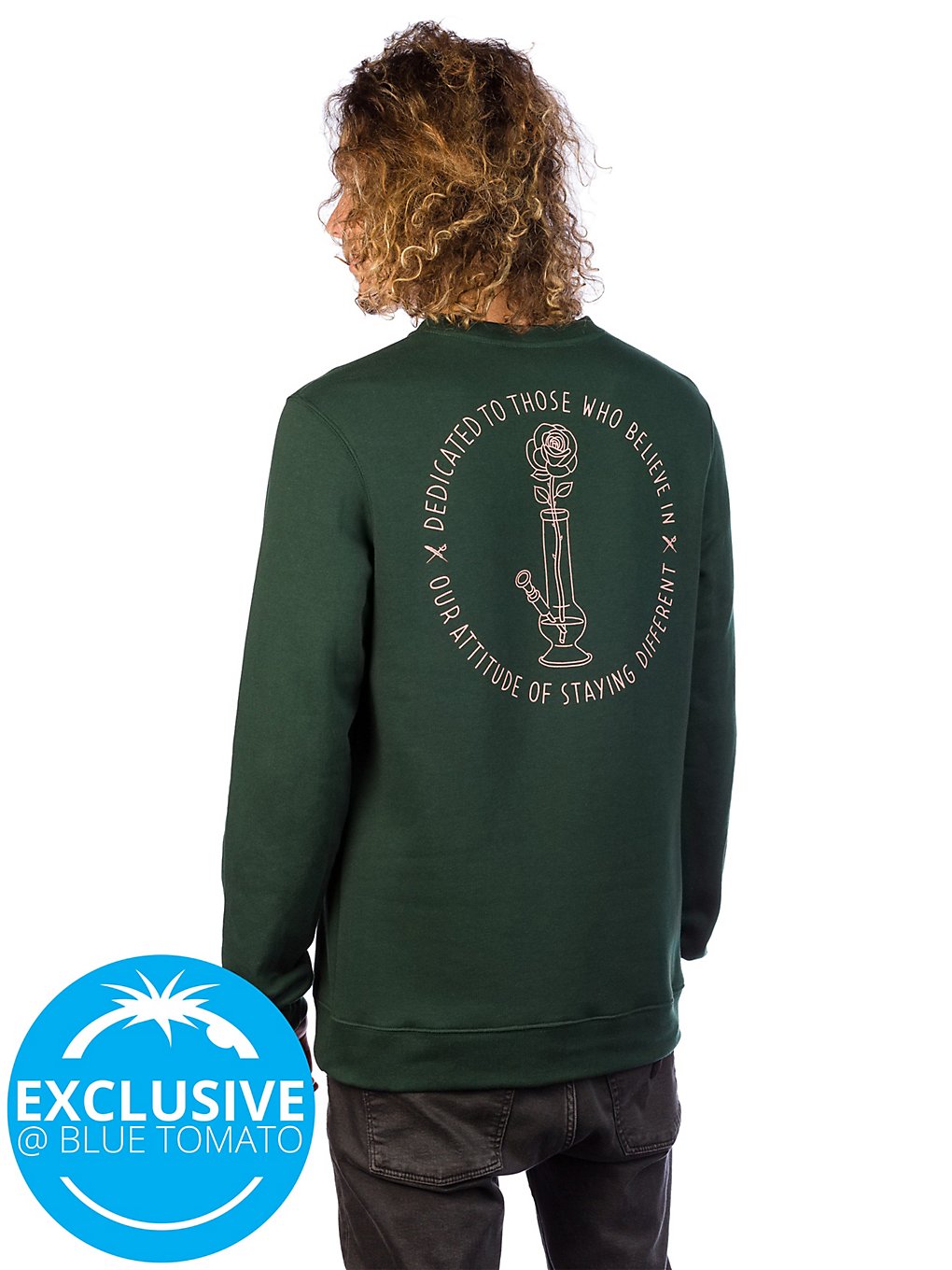 Iriedaily Rosebong Crew Sweater hunter